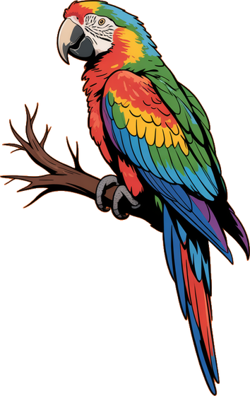 Parrot design